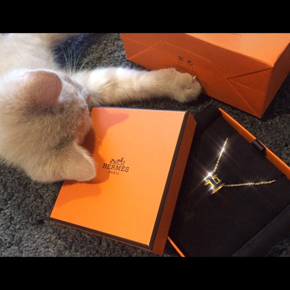 Hermes Jewelry - Hermes H necklace